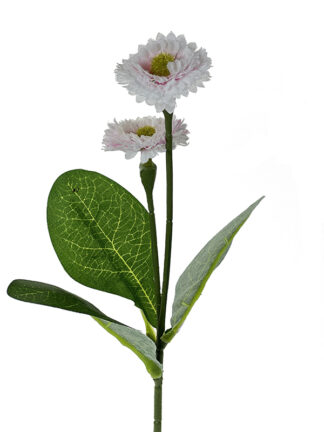 Stokrotka DAISY EJ003  Biały/Róż #3  (31 cm)