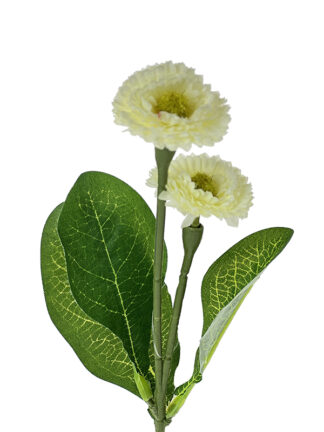 Stokrotka DAISY EJ003 Ecru #5 (31 cm)