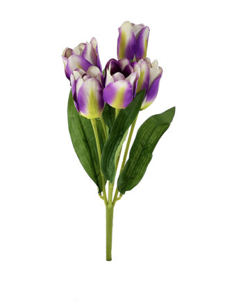 Bukiet Tulipan x 5  AFL 0801 fiolet (31 cm)