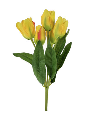 Bukiet Tulipan x 5  AFL 0801 żółty (31 cm)