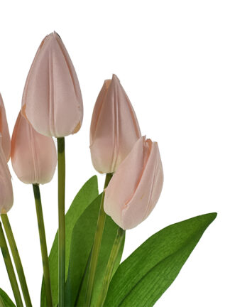 Tulipan w bukiecie 7 szt. T89 45 cm (Pastelowy róż)